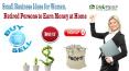 Small Business Ideas for Women, Retired Persons to Earn Money at Home PowerPoint PPT Presentation