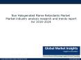 Non Halogenated Flame Retardants Market trends research and projections for 2017 – 2024 PowerPoint PPT Presentation