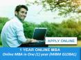 Online MBA in One (1) year –MIBM GLOBAL PowerPoint PPT Presentation