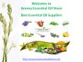 Wholesale Essential Oils In India @ Aroma Essential Oil Store PowerPoint PPT Presentation