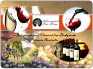 Biodynamic Champagne - Chemical Free Wine