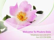 The Fresh Ottawa Flowers Company in Canada
