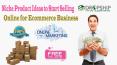Niche Product Ideas to Start Selling Online for Ecommerce Business PowerPoint PPT Presentation