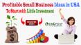 Profitable Small Business Ideas in USA to Start with Little Investment PowerPoint PPT Presentation
