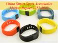 China Smart Sport Accessories Market Report 2017-2022 PowerPoint PPT Presentation