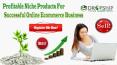 Profitable Niche Products for Successful Online Ecommerce Business PowerPoint PPT Presentation