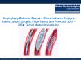 Angioplasty Balloons Market forecast to witness phenomenal growth opportunities by 2024 PowerPoint PPT Presentation
