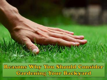 Reasons Why You Should Consider Gardening Your Backyard