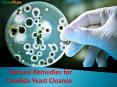 Natural Remedies for Candida Yeast Cleanse PowerPoint PPT Presentation