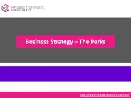 Business Strategy – The Perks