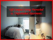Off-Campus Living: Furnished vs. Unfurnished Apartments