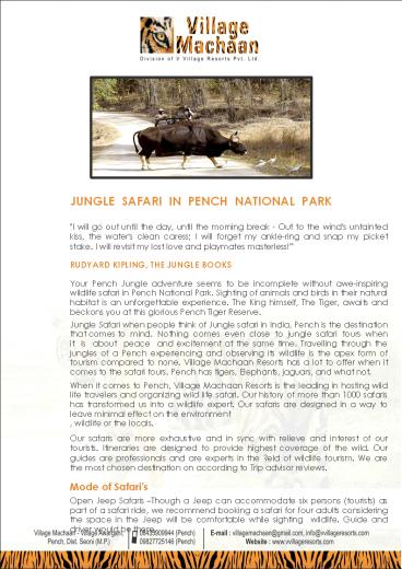 Pench Jungle Safari Booking (1)