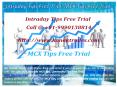 Intraday Tips Free Trial, MCX Tips Free Trial PowerPoint PPT Presentation