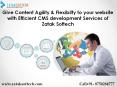Give Content Agility & Flexibilty to your website with Efficient CMS development Services PowerPoint PPT Presentation