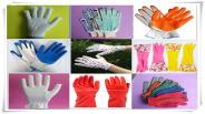 Wholesaler of Gloves
