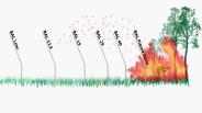 Bushfire Management Statement and BAL report (1)