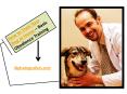 How to train your dog at home – Basic obedience training PowerPoint PPT Presentation