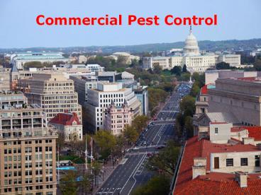 Benefits of Pest Control Service