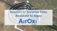 Benefits of Algae Resistant Aeration Solution - AirOxi Tube PowerPoint PPT Presentation