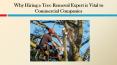 Why Hiring Tree Removal Expert is Vital to Commercial Companies PowerPoint PPT Presentation