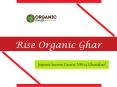 Rise Organic Ghar NH 24 Ghaziabad – Construction Update
