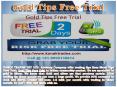 Base Metal Tips Free Trial, Gold Tips Free Trial PowerPoint PPT Presentation