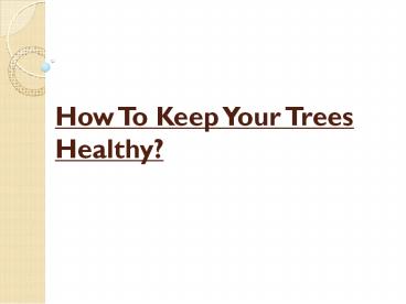 How To Keep Your Trees Healthy?