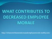 WHAT CONTRIBUTES TO DECREASED EMPLOYEE MORALE