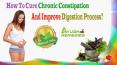 How To Cure Chronic Constipation And Improve Digestion Process? PowerPoint PPT Presentation