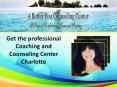 Choose the best counseling center in Charlotte PowerPoint PPT Presentation