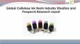 Global cellulose ink resin industry situation and prospects research report PowerPoint PPT Presentation