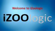 Internet Phishing | iZOOlogic