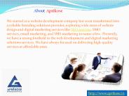 SEO Services in Jaipur