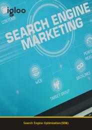 Igloo - SEM Services (Dubai)