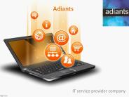 Freelance WordPress Developer in New York
