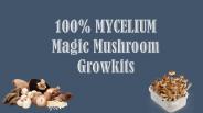 100% MYCELIUM Magic Mushroom Growkit