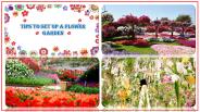 Flower Garden Setup Tips For Beginners
