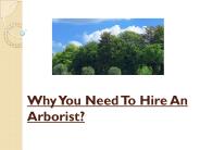 Why You Need To Hire An Arborist?