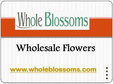 Wholesale Flowers – Wholeblossoms