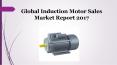Global induction motor sales market report 2017 PowerPoint PPT Presentation