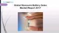 Global nanowire battery sales market report 2017
