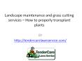 Landscape maintenance and grass cutting services – How to properly transplant plants PowerPoint PPT Presentation