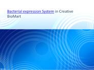 Bacterial expression System in Creative BioMart (1)