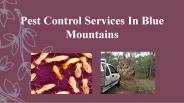 Pest Control Services In Blue Mountains