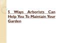 5 Ways Arborists Can Help You To Maintain Your Garden PowerPoint PPT Presentation