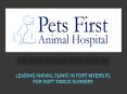 Leading Animal Clinic in Fort Myers FL for Soft Tissue Surgery PowerPoint PPT Presentation