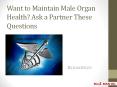 Want to Maintain Male Organ Health? Ask a Partner These Questions PowerPoint PPT Presentation