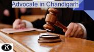 Advocate in Chandigarh