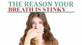 The Reason Your Breath is Stinky PowerPoint PPT Presentation