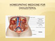 Homeopathic Medicine for Cholesterol 1 AUG 17
